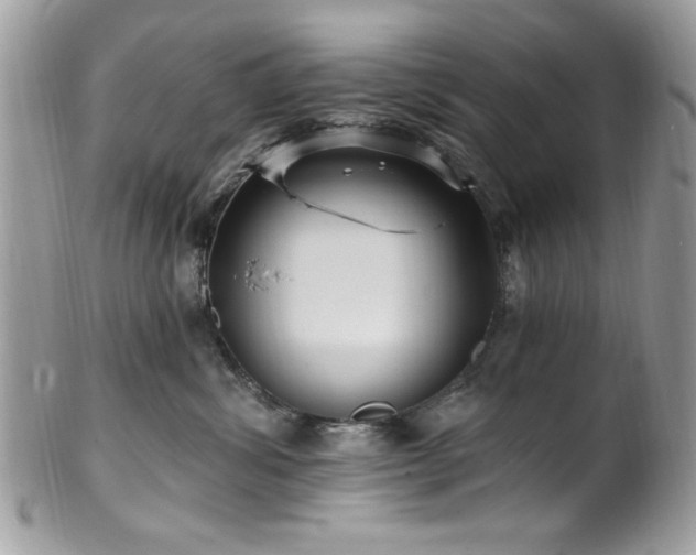 X0000102310428200807251444