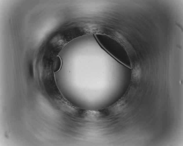 X0000102310429200807251444