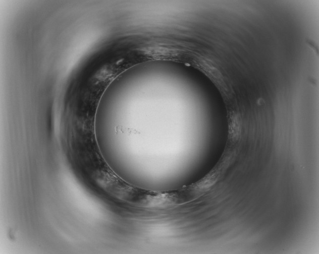 X0000102310430200807251444