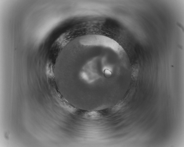 X0000102310431200807251444