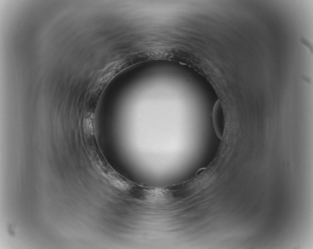 X0000102310432200807251444