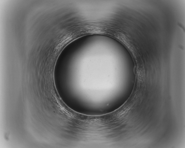 X0000102310433200807251443