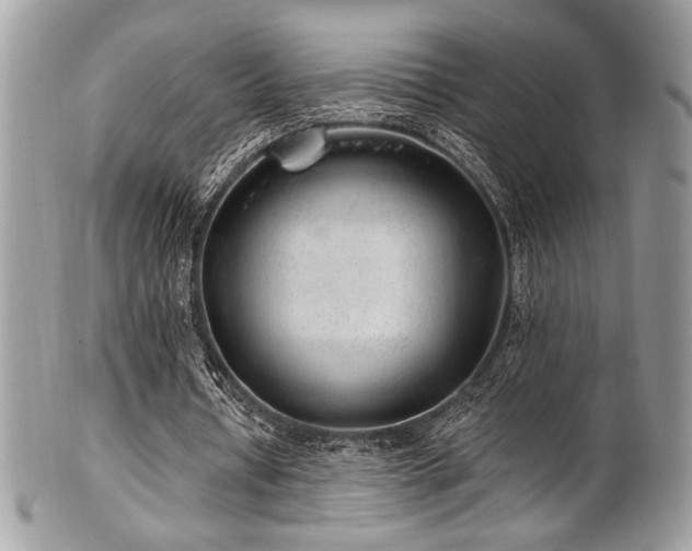 X0000102310434200807251443