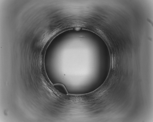 X0000102310435200807251443