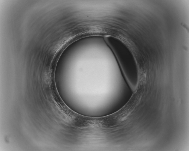 X0000102310436200807251443