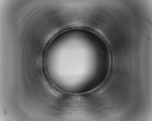 X0000102310439200807251443