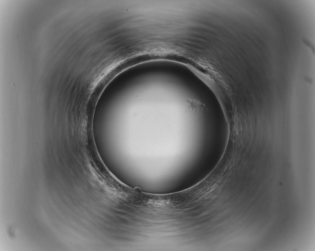 X0000102310440200807251443