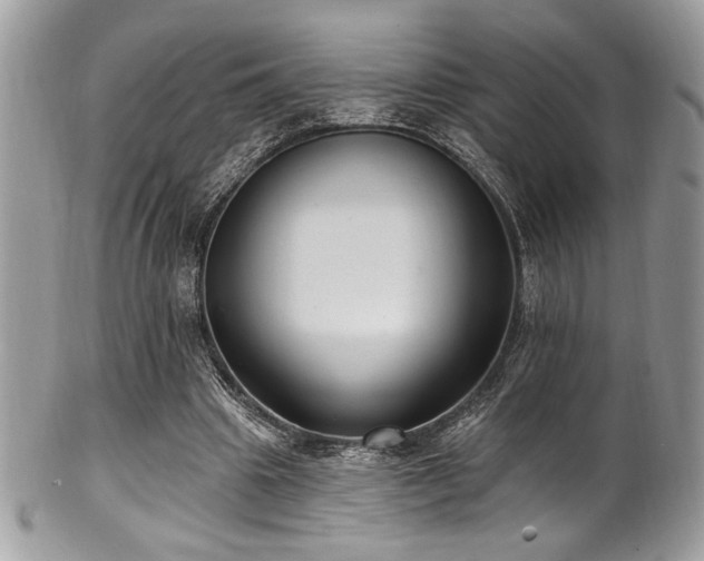 X0000102310441200807251443