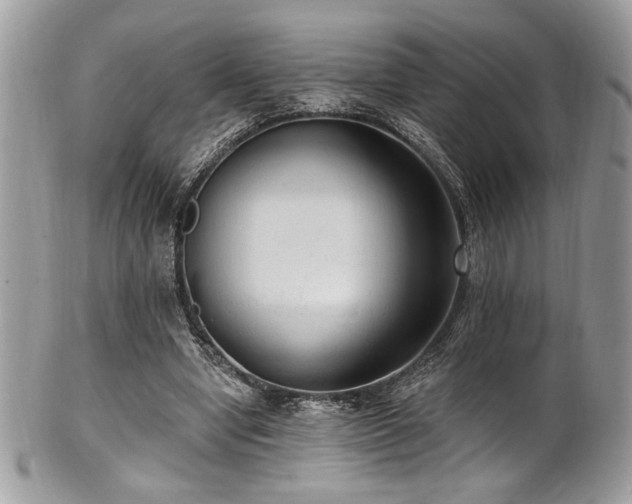 X0000102310442200807251443