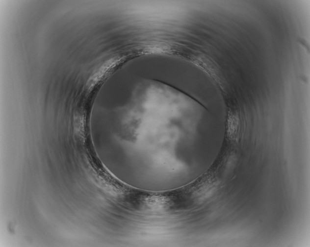 X0000102310444200807251443