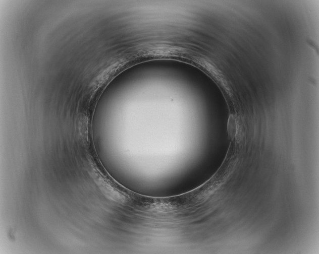 X0000102310445200807251443