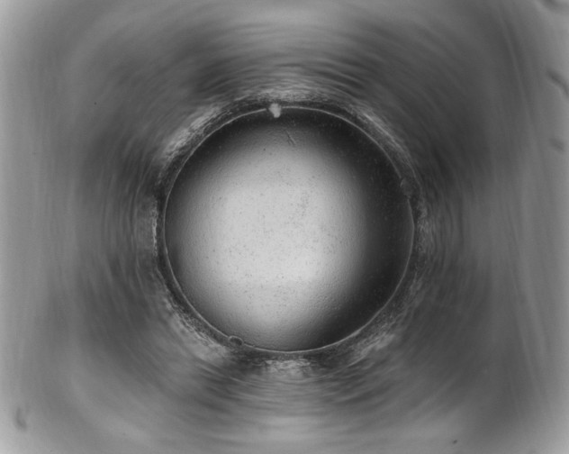 X0000102310446200807251443