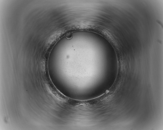 X0000102310447200807251443