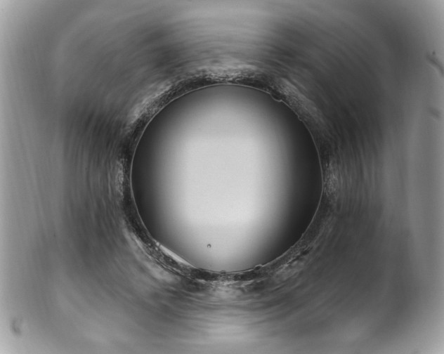 X0000102310448200807251443