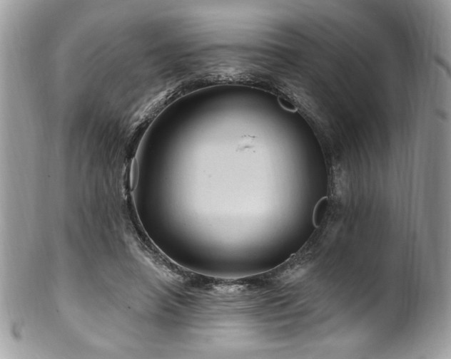 X0000102310450200807251443