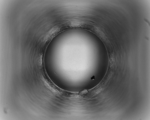 X0000102310454200807251444