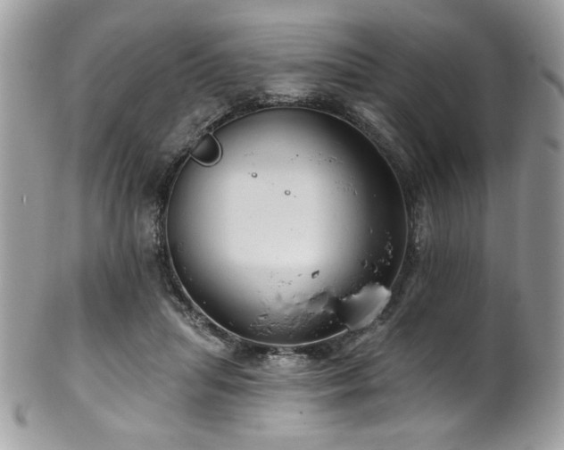 X0000102310455200807251444