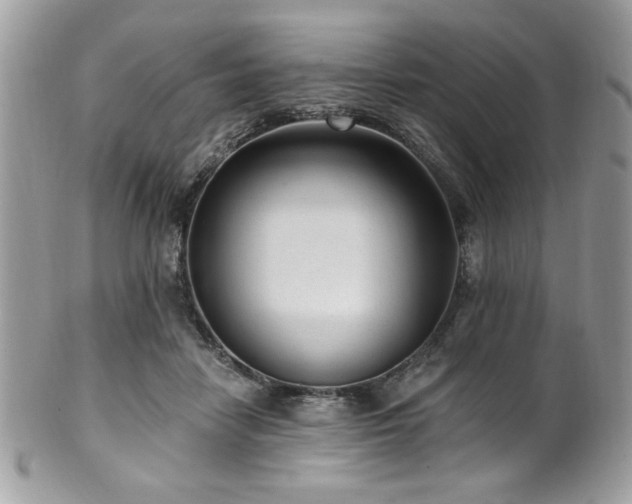 X0000102310458200807251444