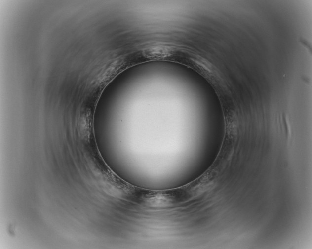 X0000102310460200807251444