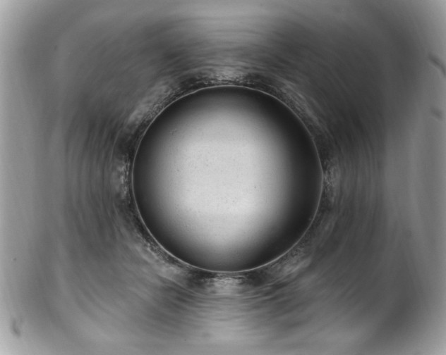 X0000102310462200807251444