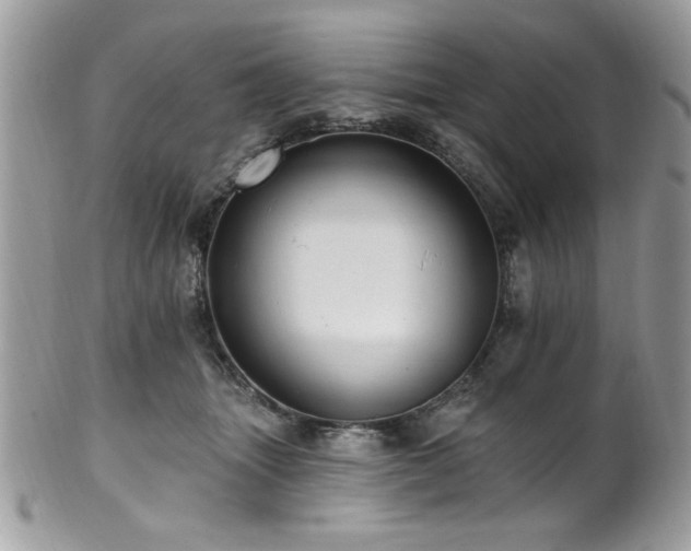 X0000102310463200807251444