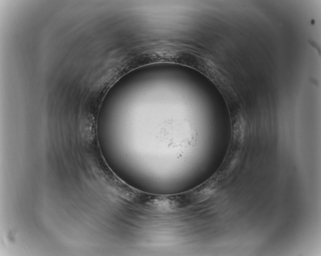 X0000102310464200807251444