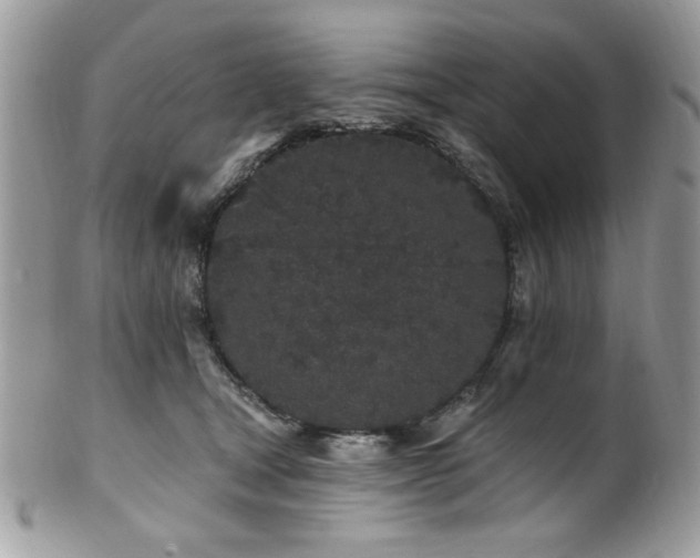 X0000102310465200807251444