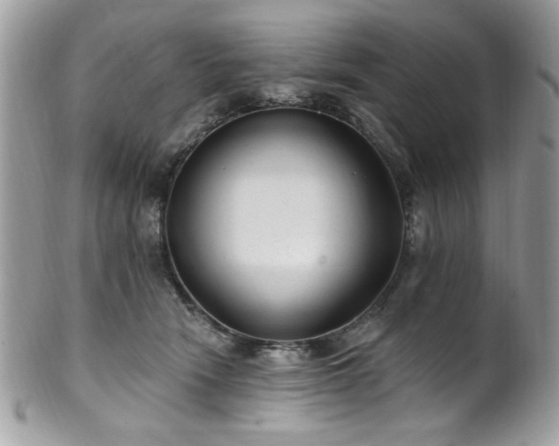 X0000102310466200807251444