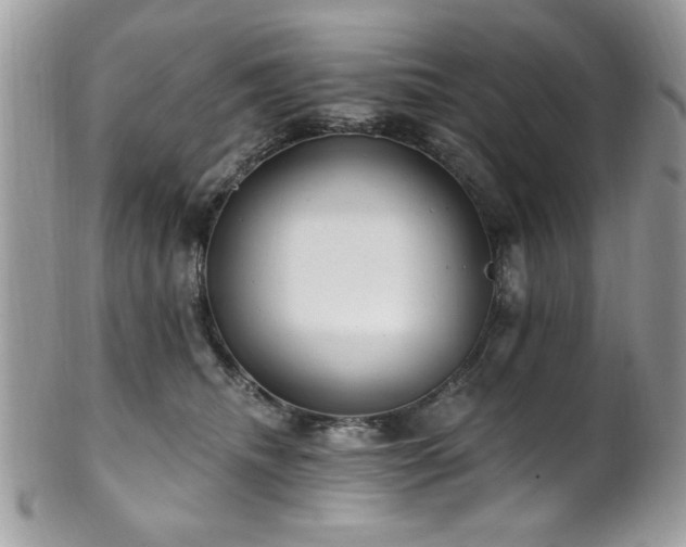 X0000102310468200807251444