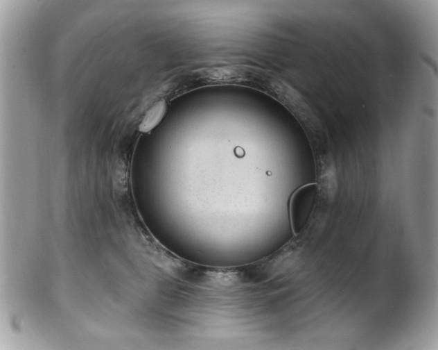 X0000102310469200807251444