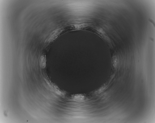 X0000102310471200807251444