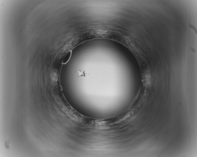 X0000102310472200807251444