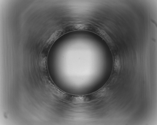 X0000102310473200807251444