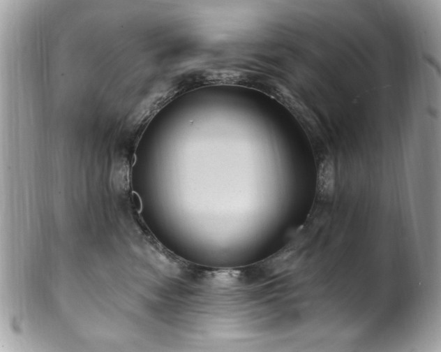 X0000102310474200807251444