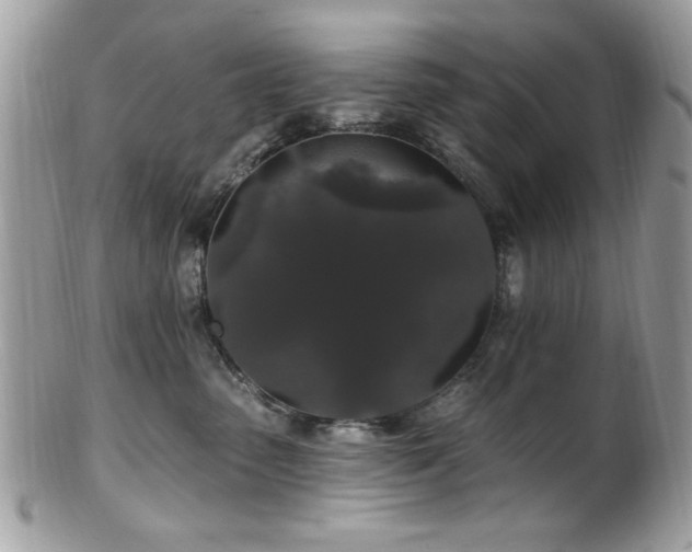 X0000102310475200807251444