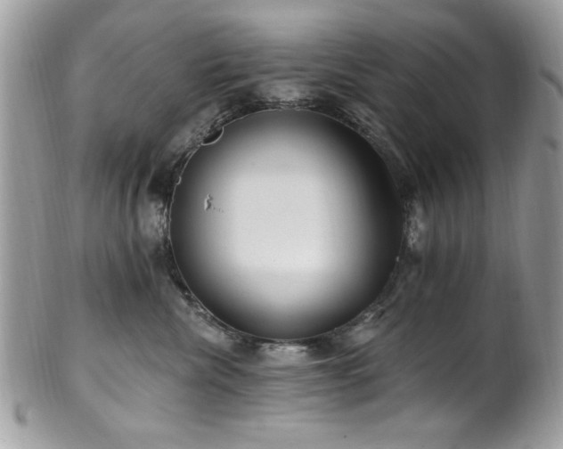 X0000102310476200807251444