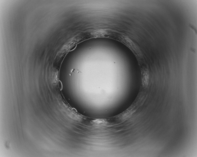 X0000102310477200807251444