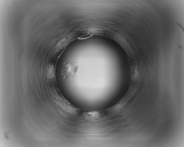 X0000102310478200807251444