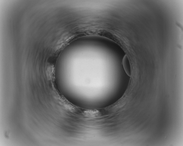 X0000102310480200807251444