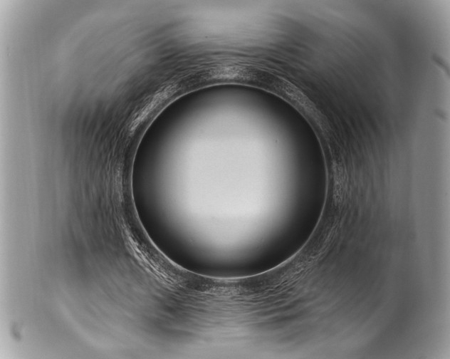 X0000102310482200807251443