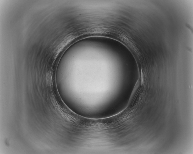 X0000102310483200807251443