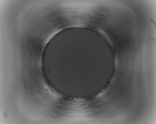 X0000102310484200807251443