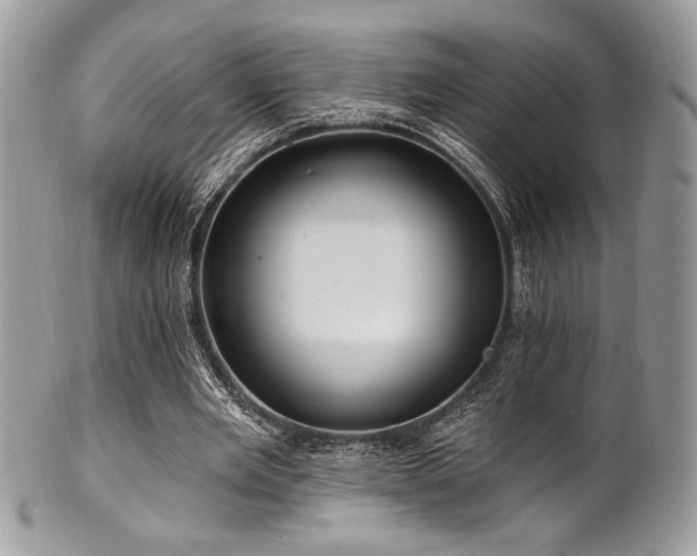 X0000102310485200807251443