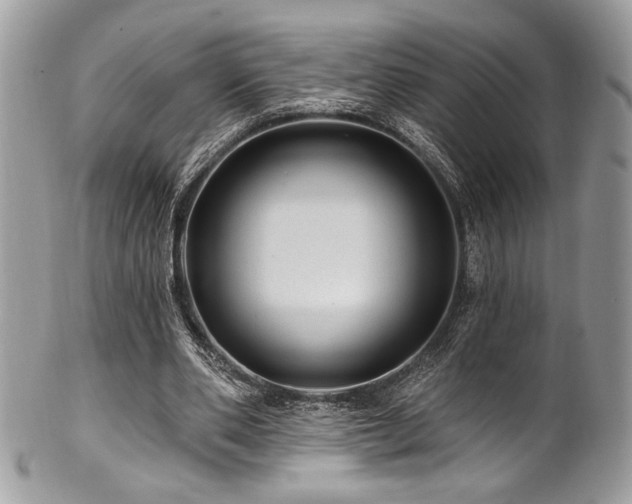 X0000102310486200807251443