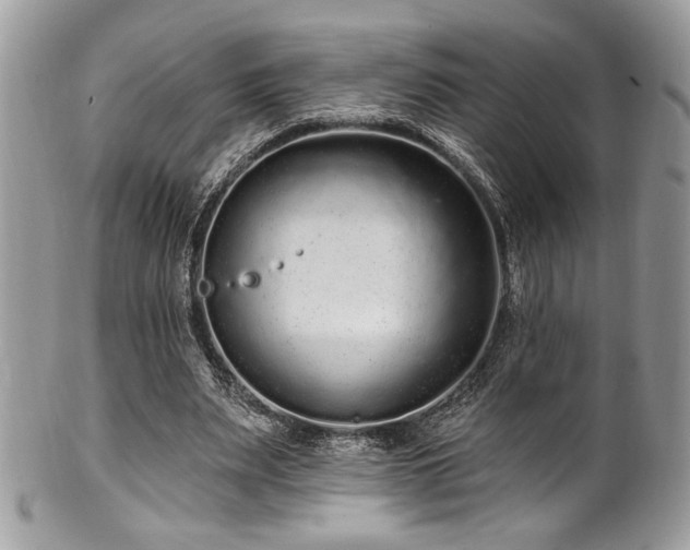 X0000102310487200807251443