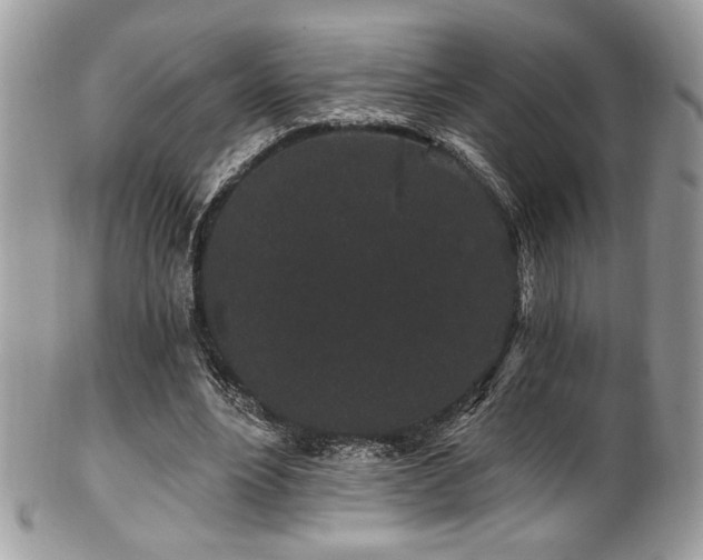 X0000102310488200807251443