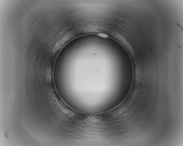 X0000102310489200807251443