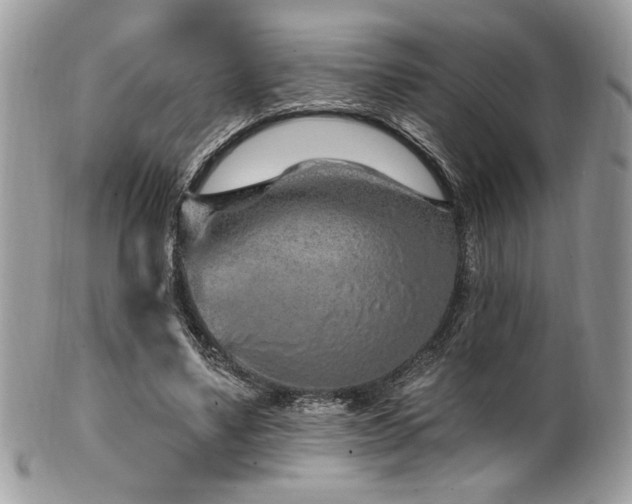 X0000102310491200807251443