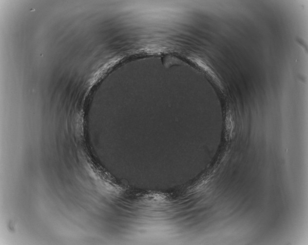 X0000102310492200807251443