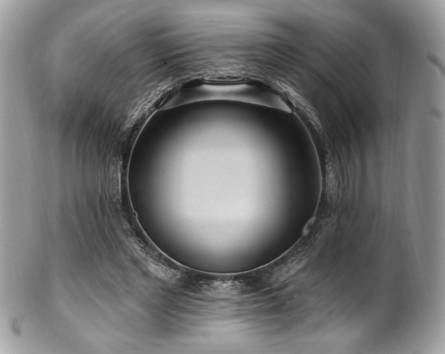 X0000102310493200807251443